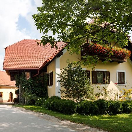 Farm Sorzev Mlin Villa Nova Cerkev Exterior photo